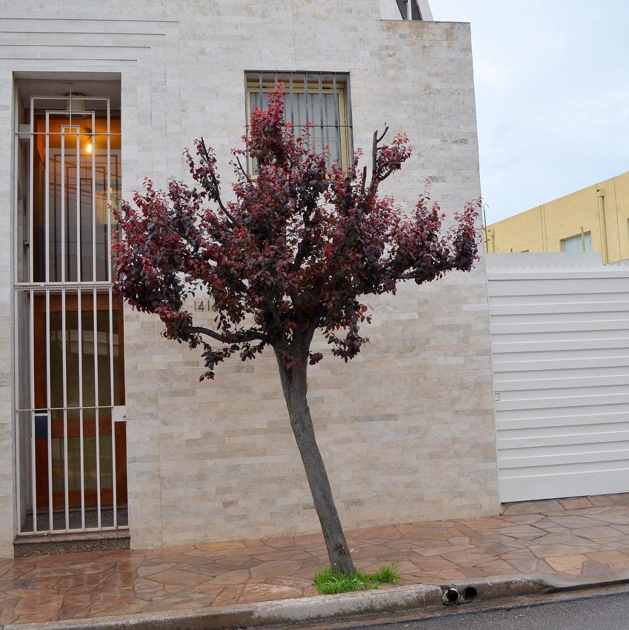 Via Lavalle Suites San Luis Exterior photo